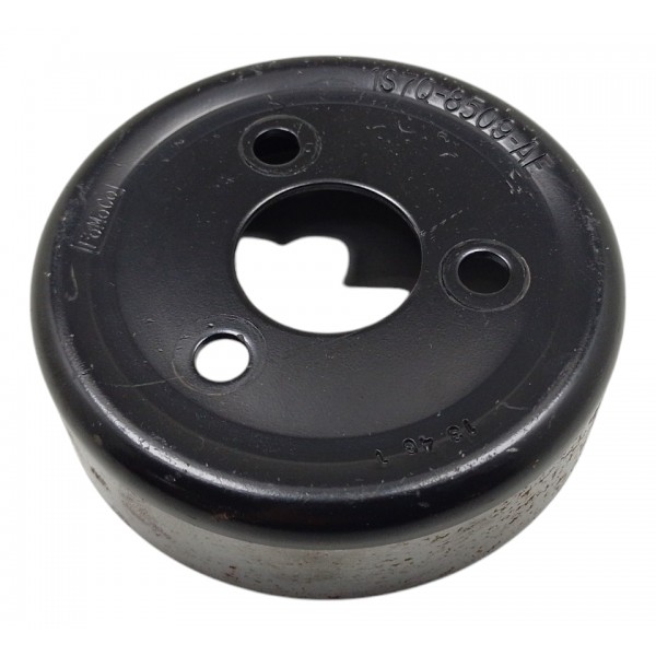 Polia Bomba De Agua Ford Focus 2l 2009 2013 Usado