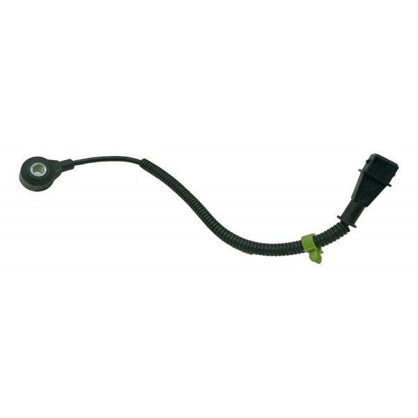 Sensor De Detonação Fiat Bravo Palio Etorq 55223460 Usado